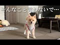 ご指摘を受けている件で、お話があります…