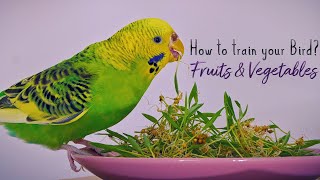 How to get your Parrot to eat Vegetables & Fruits? Simple and Fun