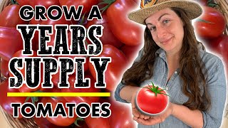 Growing Your Own Tomatoes? You Need This Many Tomato Plants For A Years Supply by Wilderstead 8,926 views 2 years ago 5 minutes, 46 seconds