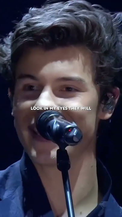 Lover by Shawn Mendes & Taylor Swift deserved way more fame than it got