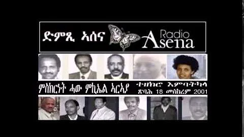 Voice of Assenna: Testimony of Mr Michael Araya Re...