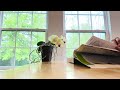 Day 0640. 33 minutes read with me | Study with me | No music | Background noise | Atomic habit