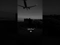 هزتني نسمات الليالي