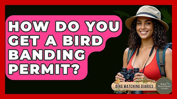 How Do You Get A Bird Banding Permit? - Bird Watching Diaries