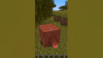 Minecraft Mob Vote Armadillo in Game #minecraftmobvote