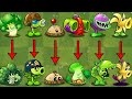 PvZ 2 Discovery - All Plants Have Same Shape in Game PvZ 2 v9.8.1