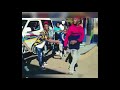 John Vuli Gate Stoko Dance Challenge Compilation