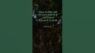 سورة الأعراف الآية ٨ الى ١١ بصوت الشيخ #ماهر_المعيقلي #القرآن