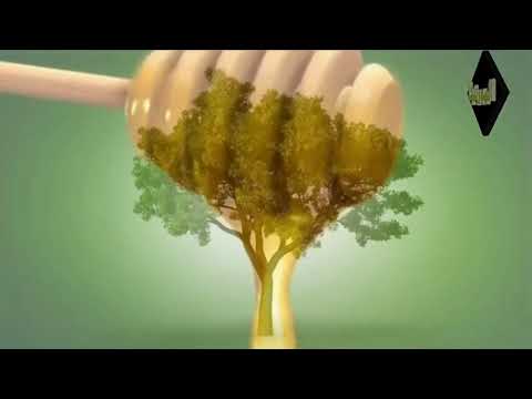 عسل النحل عسل المورينجا عسل البردقوش