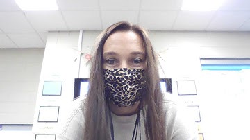 Wit & Wisdom, Lesson 11, Thursday, November 19