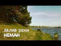 Весна. 2020. Залив реки Неман. Рыбалка. Часть 2.