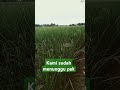 #janji prabowo#shortsfeed #shorts #viralshorts #viralshort #$hort#TANI KoCiK