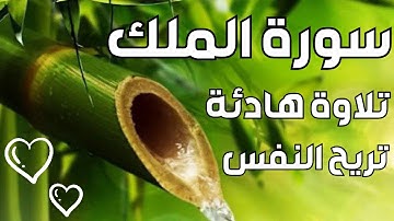 سورة الملك - تبارك💞تشفع لصاحبها وتنجيه من عذاب القبر💖لا تحرم نفسك من الأجر والرزق