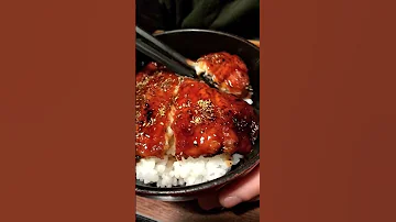 Unagi Don How It Looks Like Grilled Eel Rice Bowl Japanese Authentic Food Eel Grilled Bowl 