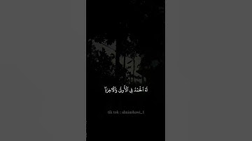 محمد صديق المنشاوي ||| سورة القصص ||| حالات واتس
