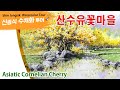 신종식수채화투어[산수유꽃마을]watercolor painting TV foundation 水彩画, 水彩畫, Aquarelle, акварельный, a flower plant