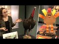 Turkey Talk