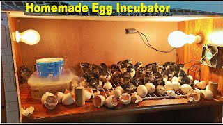DIY - How to make EGG INCUBATOR At home By Using Wooden Box - Homemade Egg Incubator Hatched Chicks