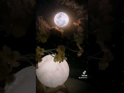 هاشتاق يارب ارزقنا من حيث لا يحتسب