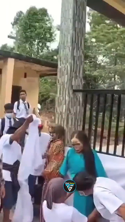 strangest ritual in Indonesian tribe | #shorts #trending #indonesia #ytshorts #viralreels #wildlife