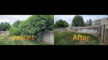 OVERGROWN Fence Line Cleanup
