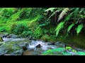 Relaxing River Sounds for Focus, Studying & A Peaceful Home 🌿 Relaxing Sleep Calming Anxiety