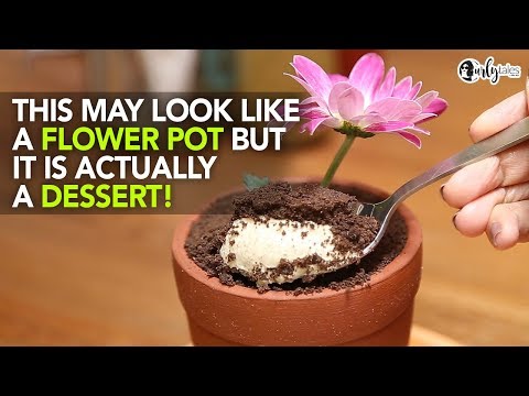 Jamjar Diner Serves An Edible Muddy Dessert In A Flower Pot | Curly Tales