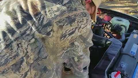 91 firebird 3.1 v6 distributor replacement pt 1