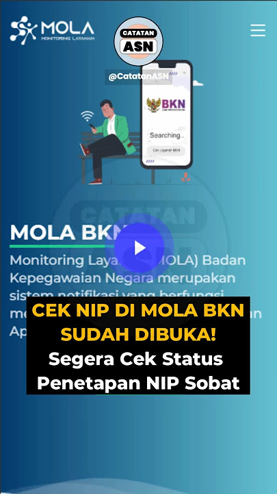 CHECK YOUR NIP ON MOLA BKN IS NOW ACTIVE! Check Your NIP/NIPPPK Status Now #NIP #NIPPPK #MOLABKN
