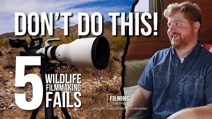 What Nobody Tells Beginners in Wildlife Filmmaking