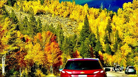 4K Colorado Fall 2025 | Stunning Aspen Colors for Relaxation