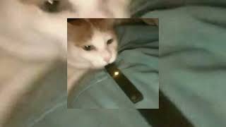 Notre Dame - Gazo Ft. Tiakola Speed - Up