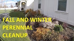 How to clean up PERENNIALS in the fall