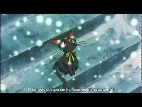 Sailor Moon S Movie Hearts In Ice Luna Sad Moment Sub Esp Youtube