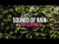 Heavy Rain with Thunder Sounds | Rain for Sleep, Relaxation, Study