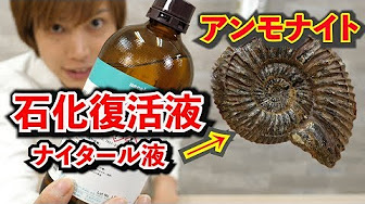 ジャンプ ドクターストーン 打ち切り Youtube