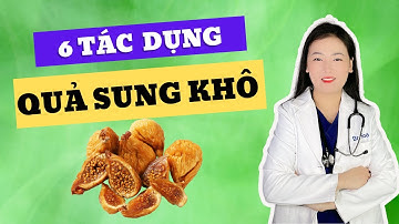 6 Tác Dụng Bất Ngờ Của Quả Sung Khô Với Sức Khoẻ | Dr Hoa