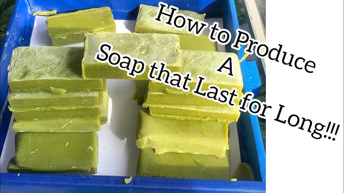 2 Ingredient All Natural Foaming Hand Soap Recipe - Our Oily House