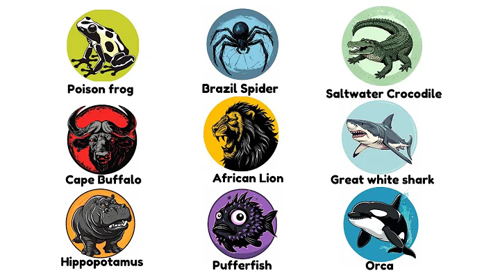 Every DEADLY Animal Explained in 8 Minutes - DayDayNews
