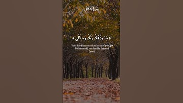 بسم الله الرحمن الرحيم | والضحى والليل إذا سجى | عبدالباسط عبدالصمد | حالات واتسآب |سورة الضحى #fypシ