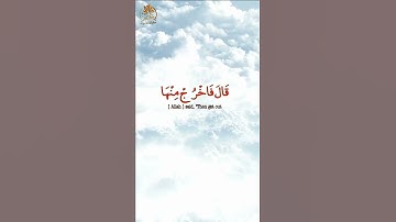 قرآن كريم | ما تيسر من سورة الحجر بصوت القارئ هزاع البلوشي | تلاوة خاشعة