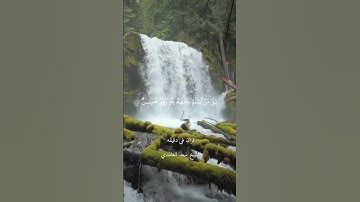 قران كريم ارح قلبك وسمعك #سعد_الغامدي @قران_في_دقيقة #قران_في_دقيقة #quran #المصحف #قران