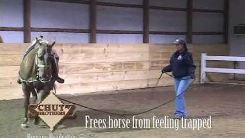 Schutz Brothers Humane Headsetter