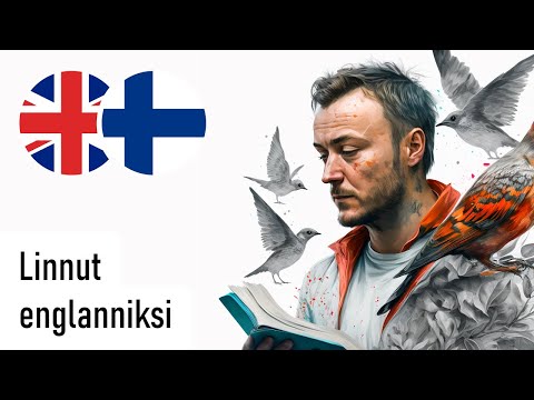 Video: Kultapiikki Laskeva