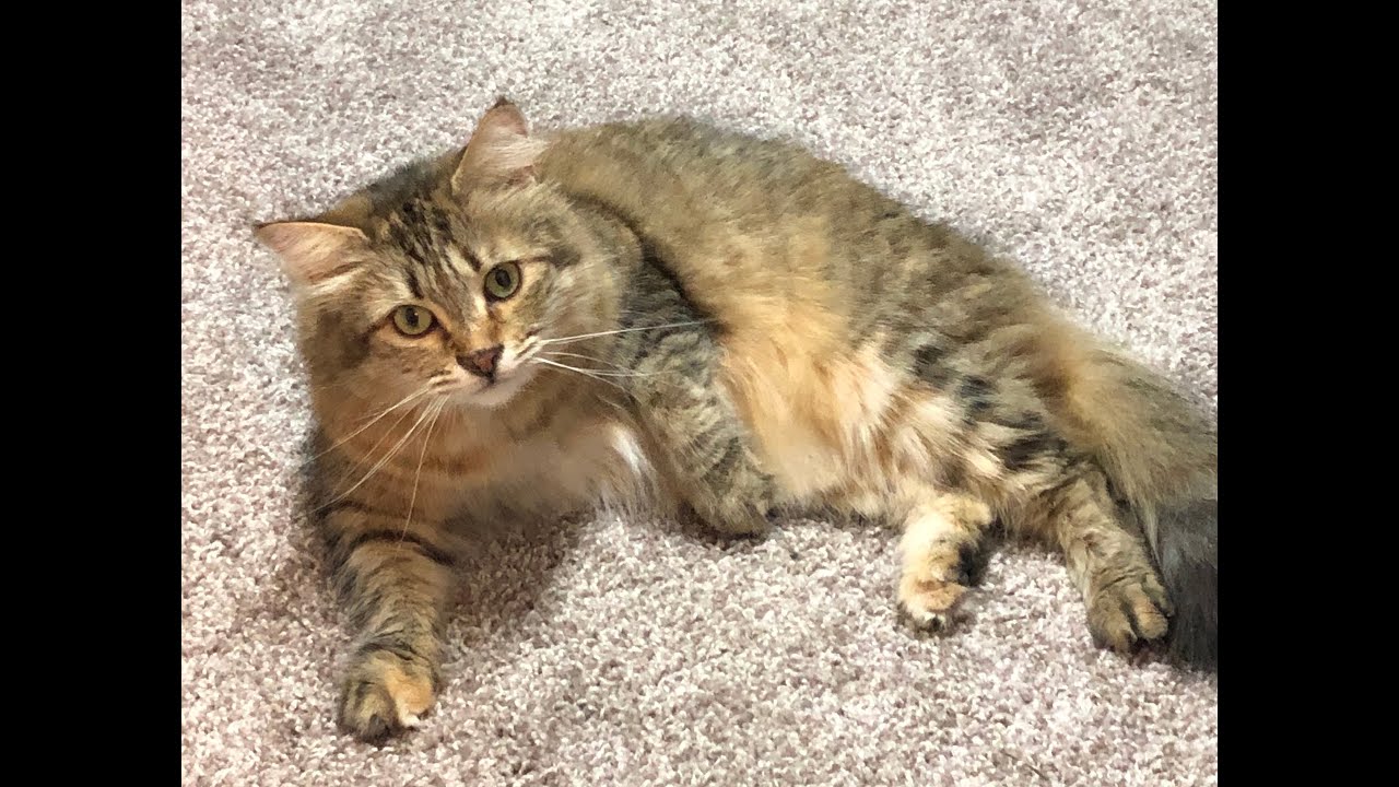 StitchyTube #61: Sometimes You Don't Know What You Don't Know...Until You Know It!