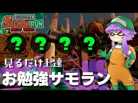 【サーモンランNW】オルランどんぴこ闘技場みんなでやるぞ！！参加型【スプラトゥーン3】