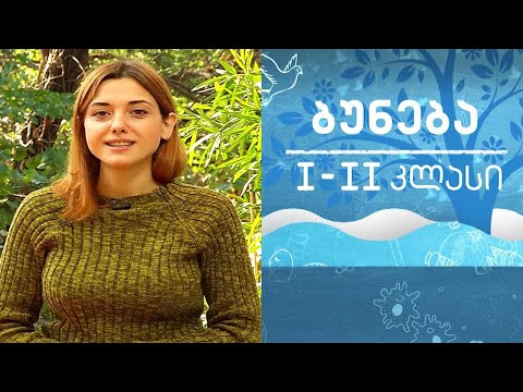 ბუნება, I-II კლასი - მცენარეები #ტელესკოლა