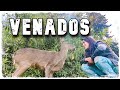 🔴Fuimos por VENADOS🦌Y Descubrimos MAS de lo que ESPERABAMOS► la casa del venado CAYAMBE