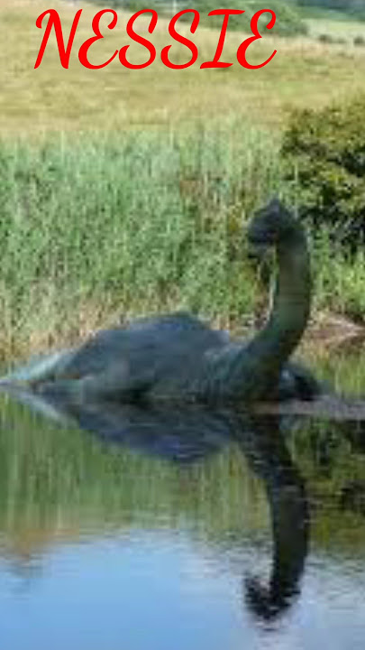type of mythical creatures | part 3 nessie | #scary #mythic #viralshort #shorts #mythicalcreatures