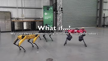 Legged Robot Race